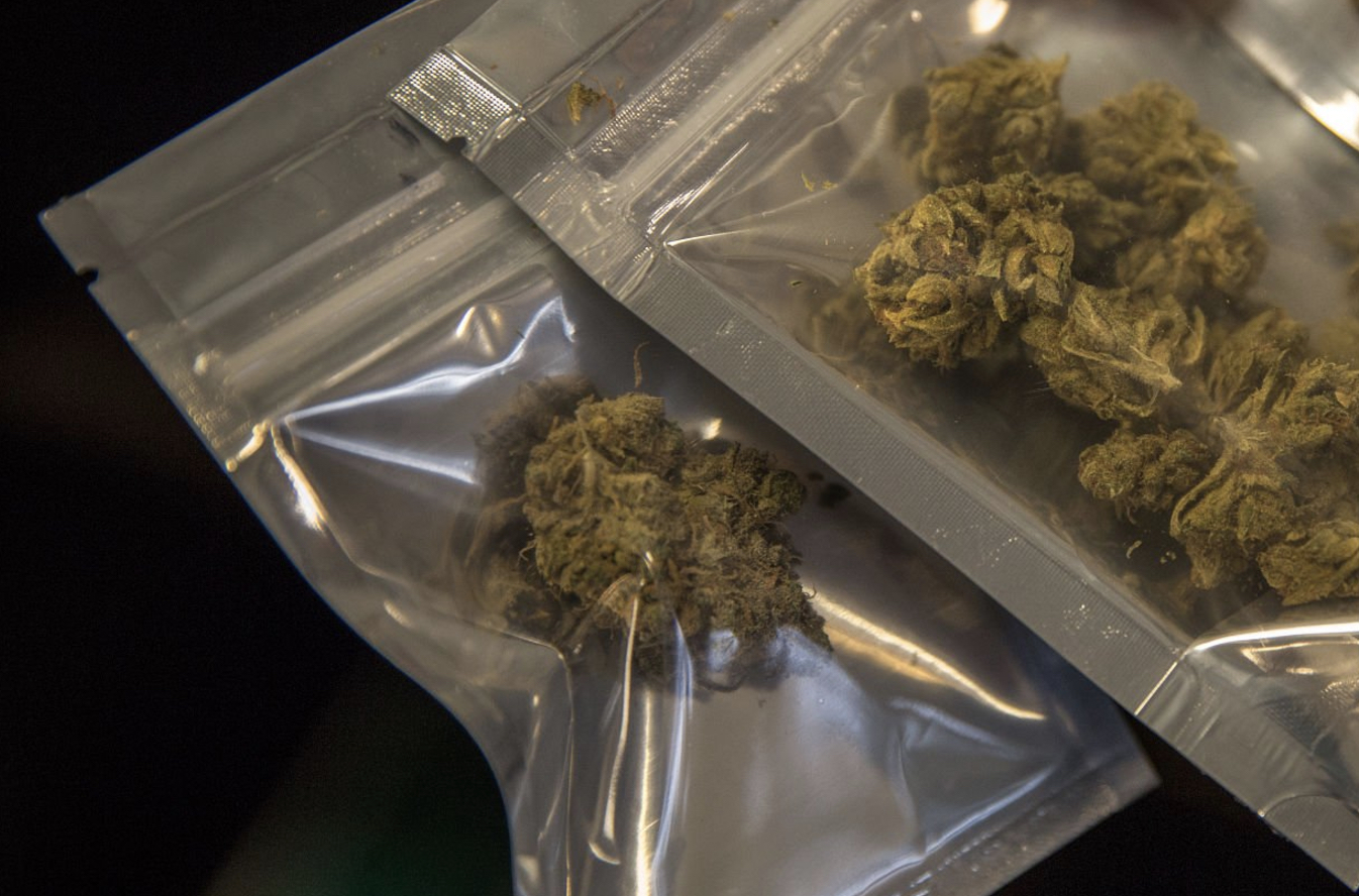 Packed Cannabis Flower